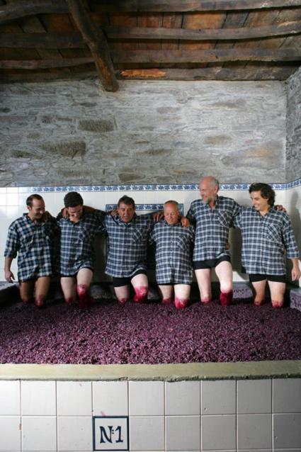 Quinta Do Monte Travesso - Country Houses & Winery Tabuaço Eksteriør billede